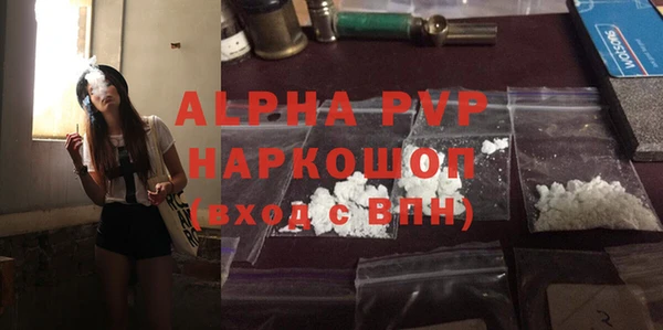 стаф Сатка