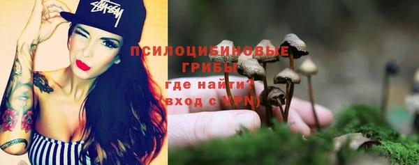стаф Сатка