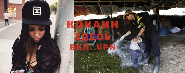 Альфа ПВП Гусев
