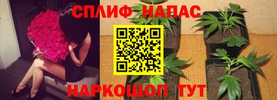 тгк Канаш