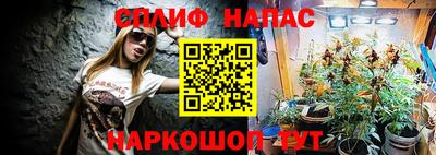 тгк Канаш
