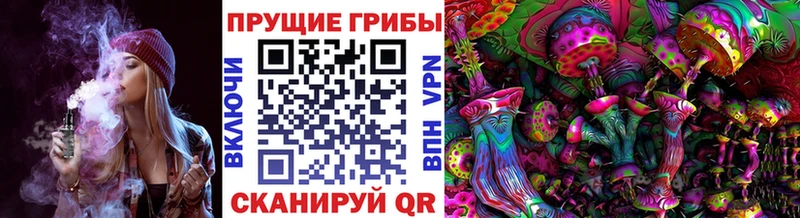 Галлюциногенные грибы Psilocybine cubensis  гидра   Спасск-Дальний 