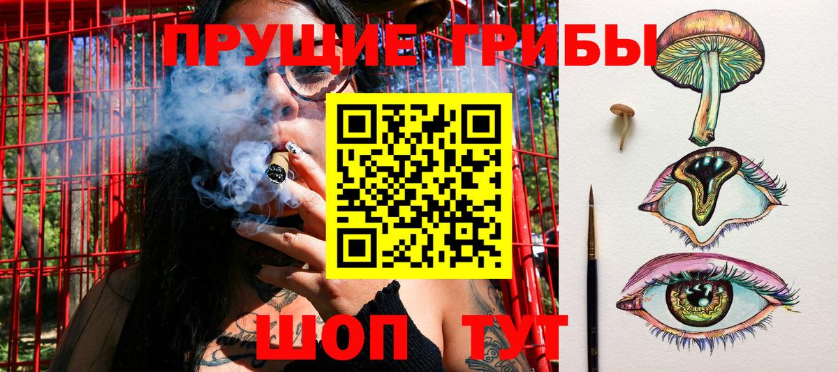 Псилоцибиновые грибы мицелий  магазин продажи   Спасск-Дальний  Галлюциногенные грибы мицелий 