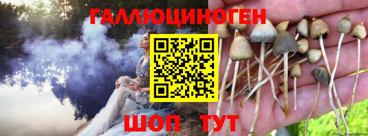 Спасск-Дальний  Галлюциногенные грибы Cubensis  где купить наркотик  Вход с VPN 
